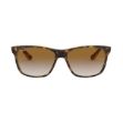 Picture of Ray-Ban Brown Gradient